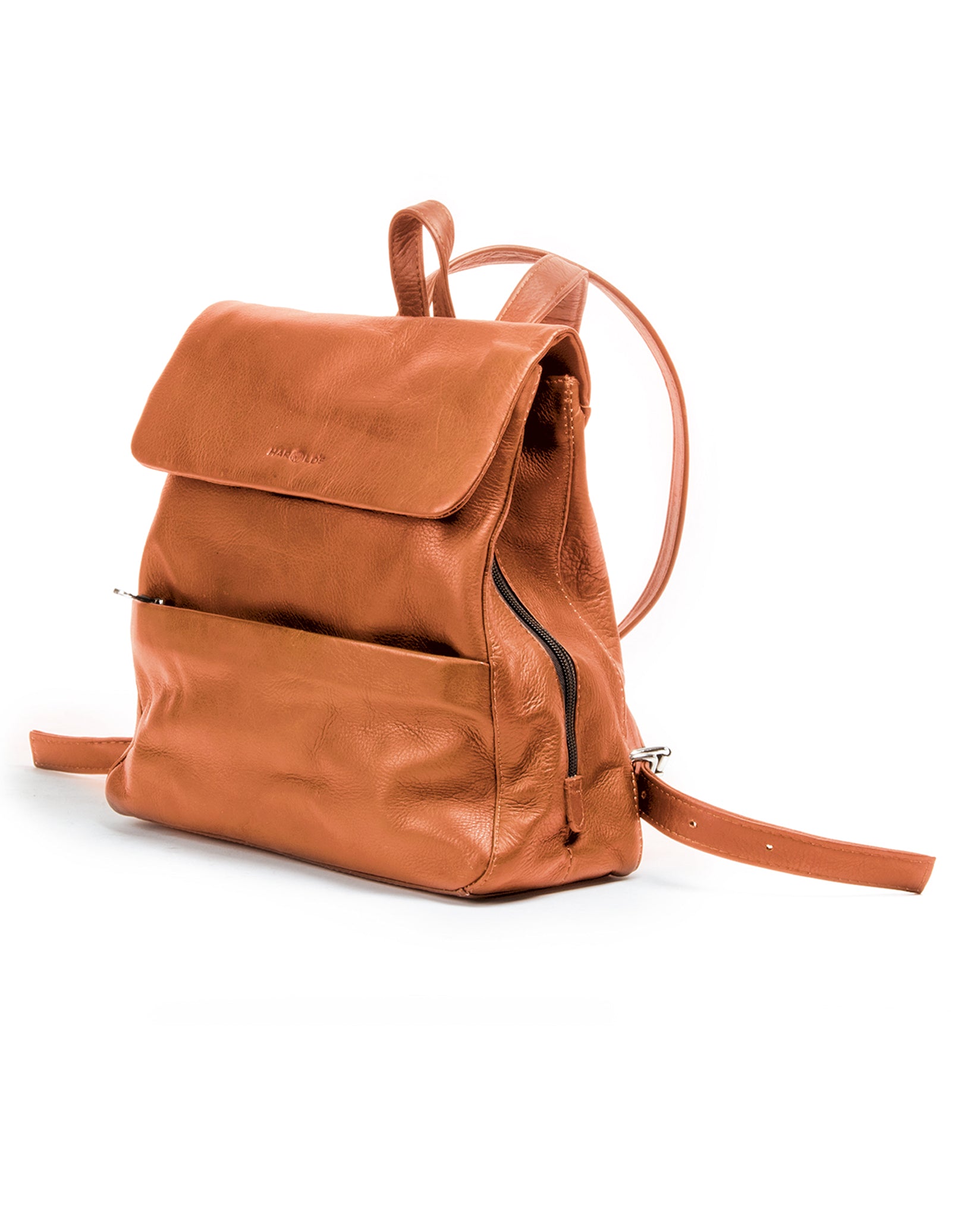 Country City backpack